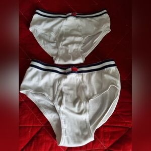 Tommy Hilfiger Men's White Briefs with Navy Accents